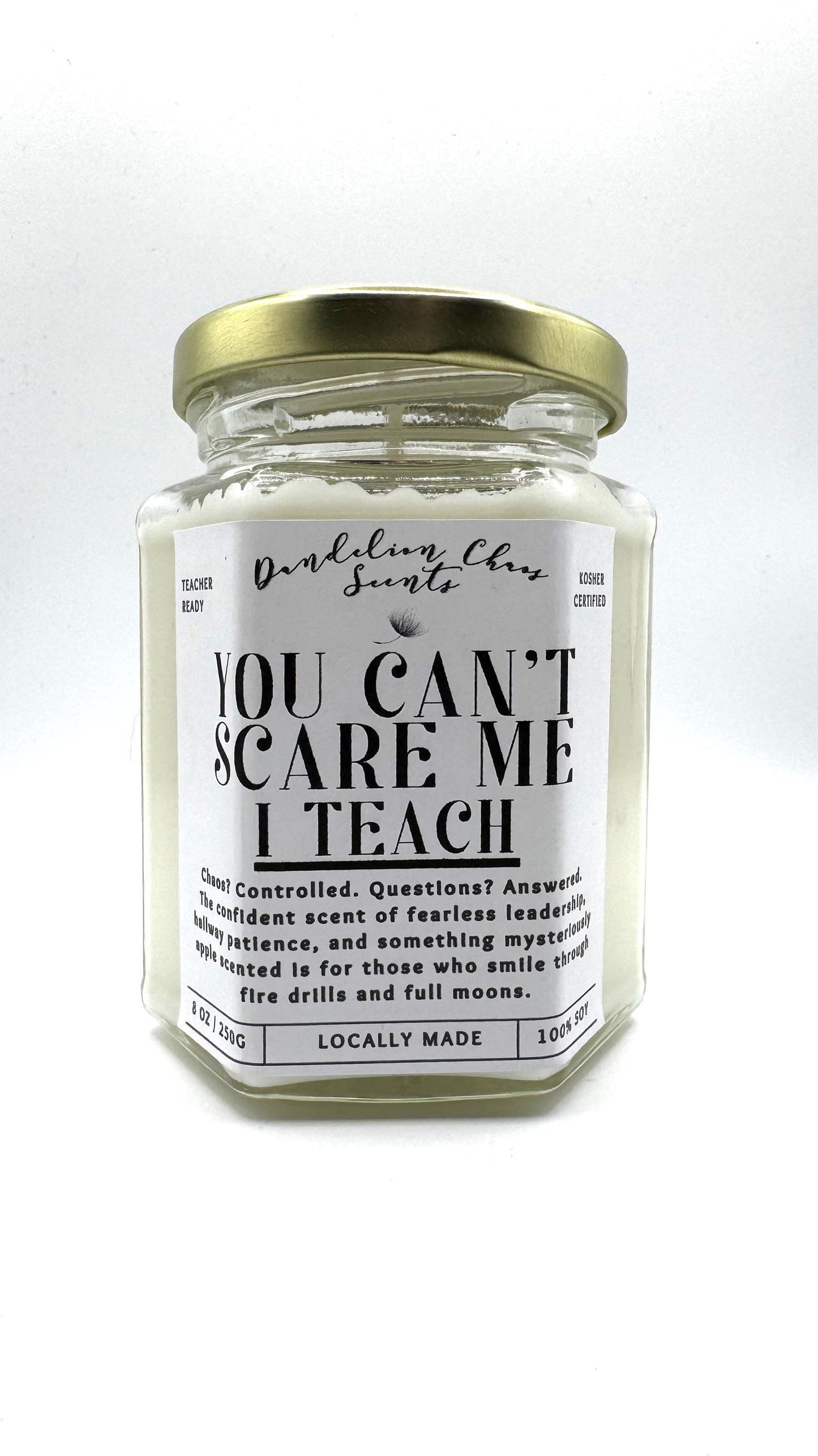 You Can't Scare Me: I Teach!