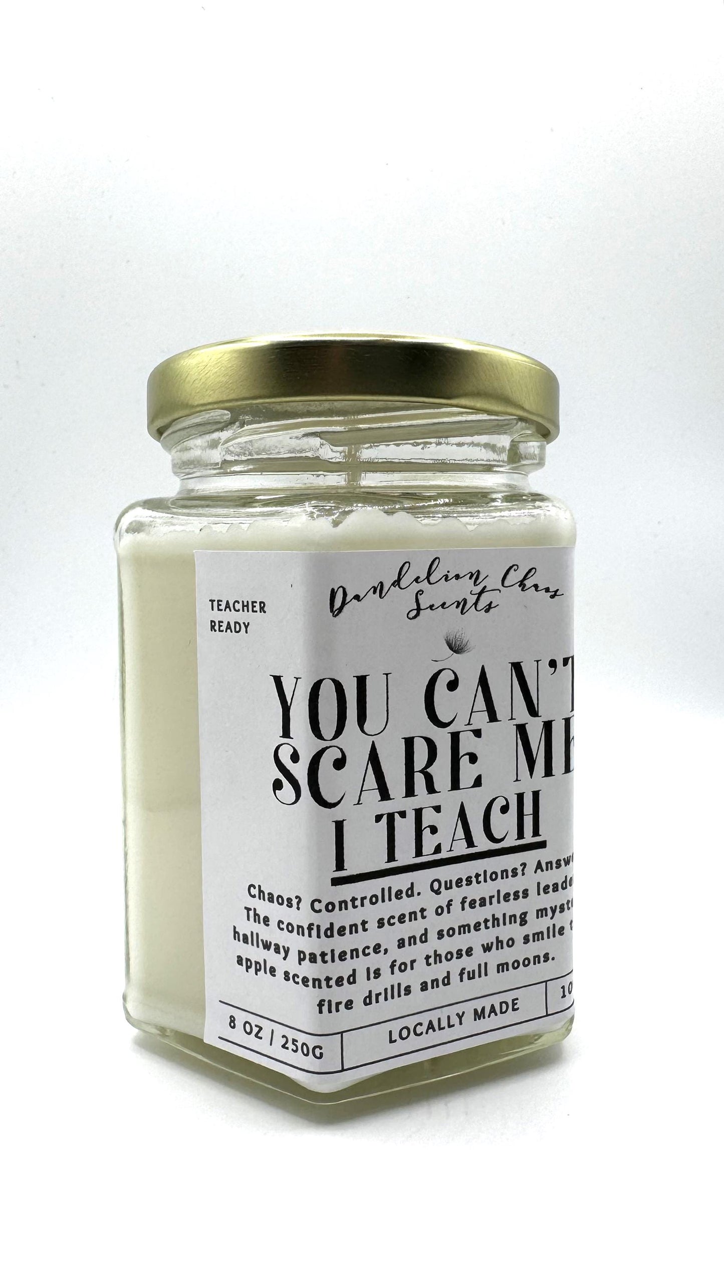 You Can't Scare Me: I Teach!